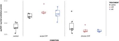 Changes in nerve growth factor signaling in female mice with cyclophosphamide-induced cystitis